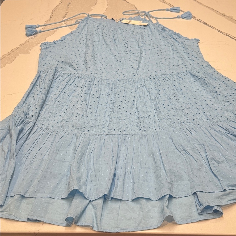Ranna Gill Light Blue Eyelet Midi Dress